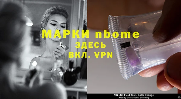 индика Новокубанск