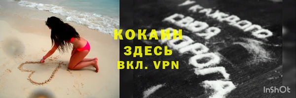 индика Новокубанск