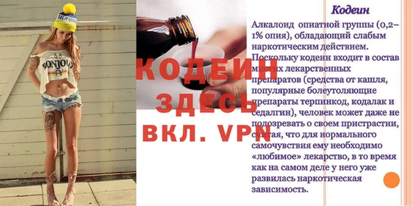 индика Новокубанск