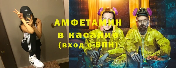 индика Новокубанск