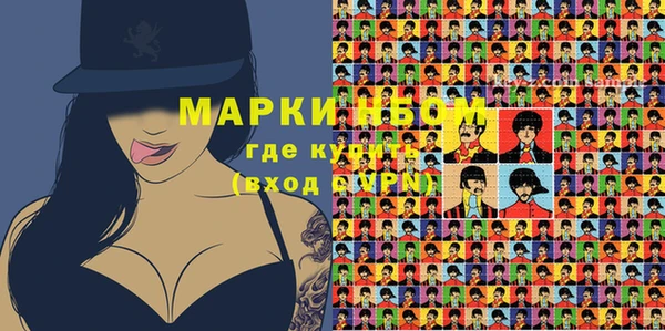 индика Новокубанск