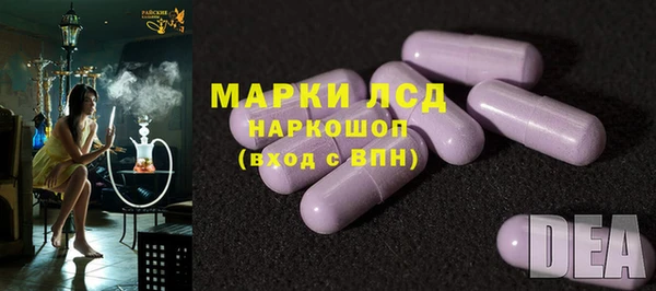 индика Новокубанск