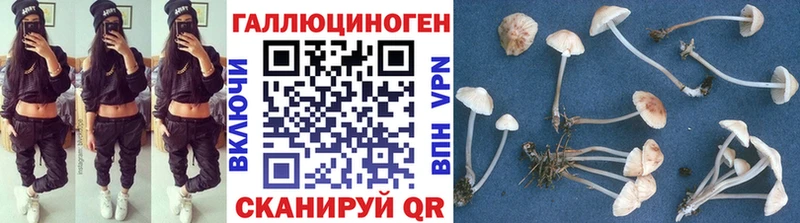 даркнет сайт  Анапа  Псилоцибиновые грибы MAGIC MUSHROOMS 