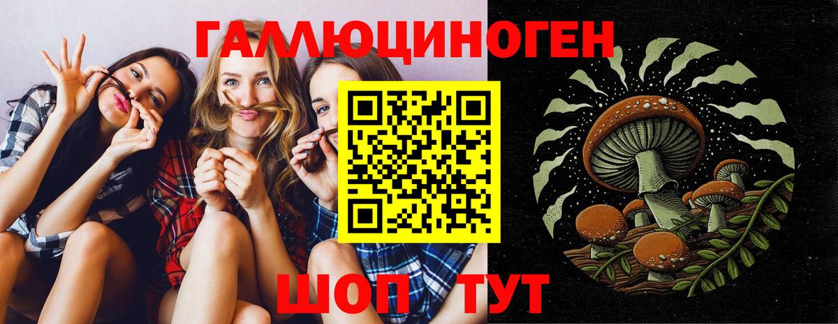 Галлюциногенные грибы Magic Shrooms Анапа