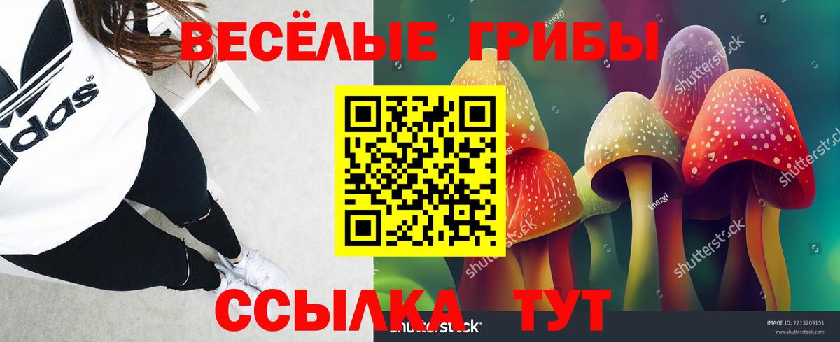 Галлюциногенные грибы мухоморы Анапа